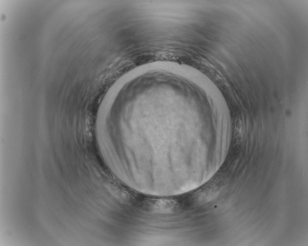 X0000088830663200707051423