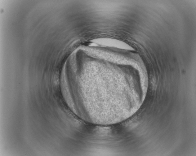 X0000088830665200707051423