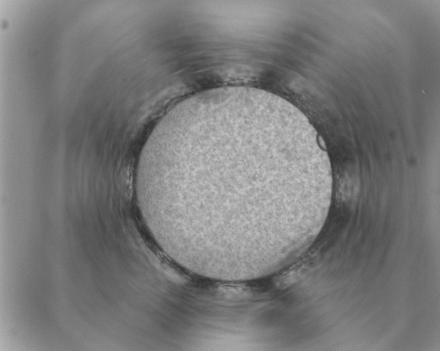 X0000088830666200707051423