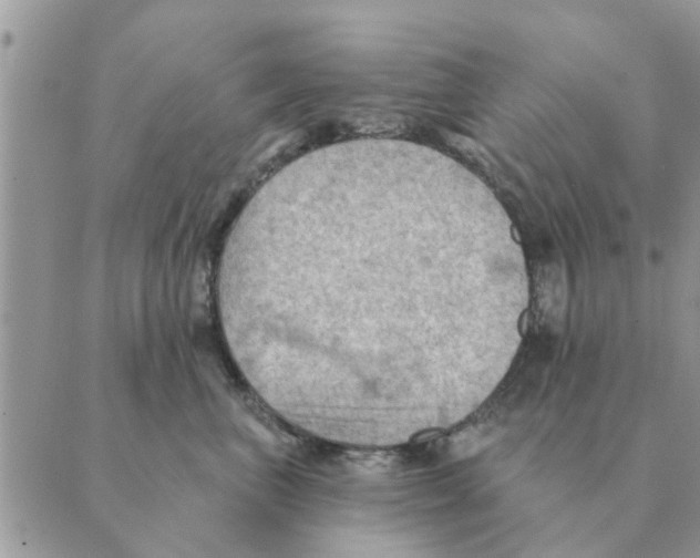 X0000088830667200707051423