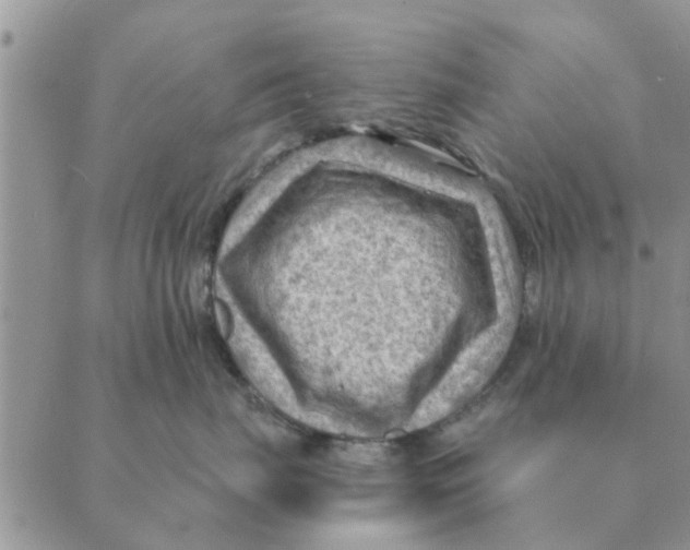 X0000088830671200707051423