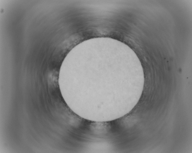 X0000088830672200707051423