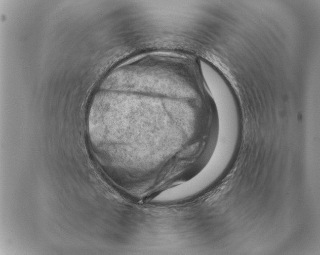 X0000088830673200707051423