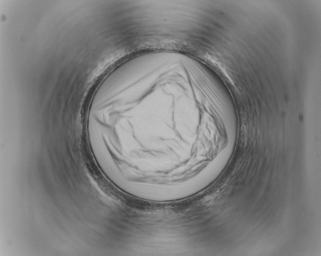 X0000088830674200707051423