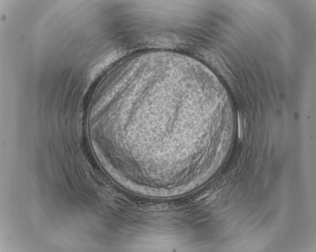 X0000088830675200707051423