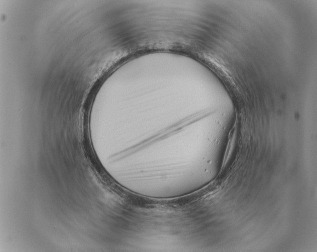 X0000088830678200707051423