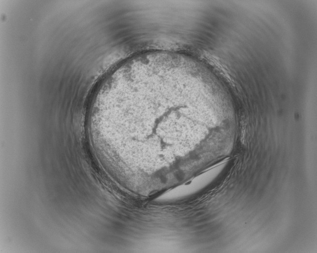 X0000088830679200707051423