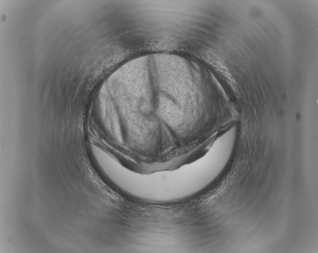 X0000088830681200707051423