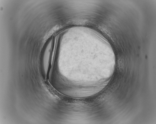 X0000088830682200707051423