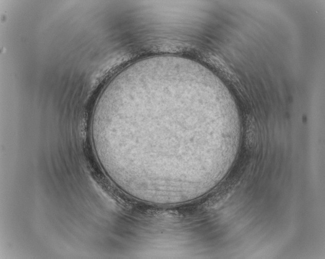 X0000088830683200707051422