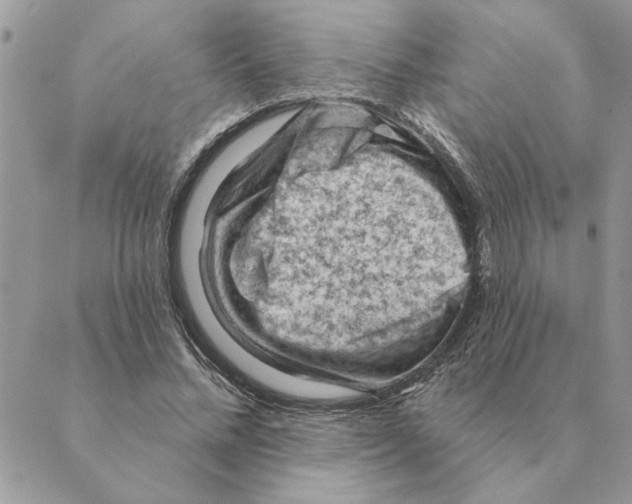 X0000088830684200707051422