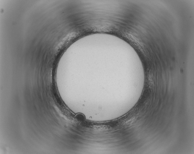 X0000088830686200707051422