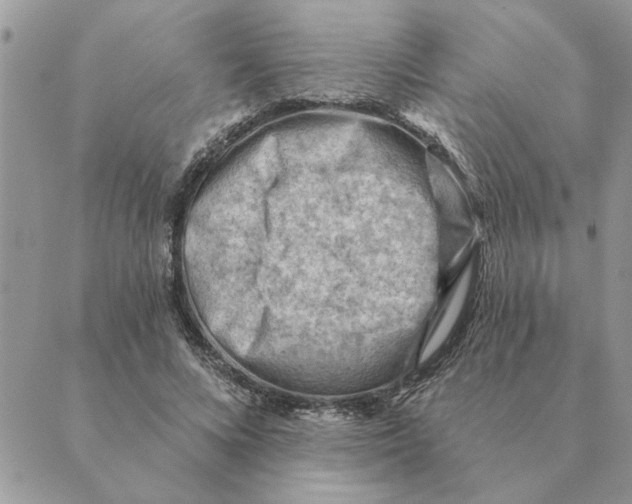 X0000088830688200707051422