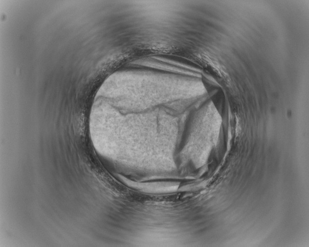 X0000088830689200707051422