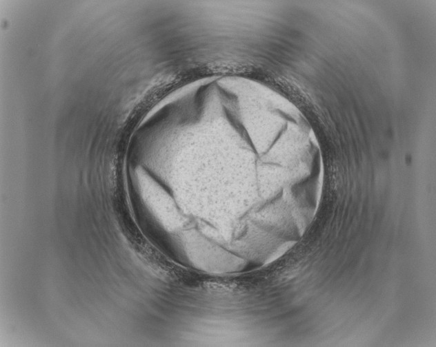 X0000088830690200707051422