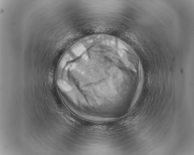 X0000088830691200707051422