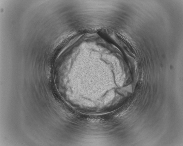 X0000088830693200707051422