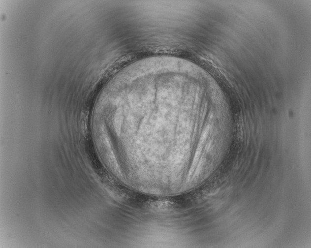 X0000088830695200707051422