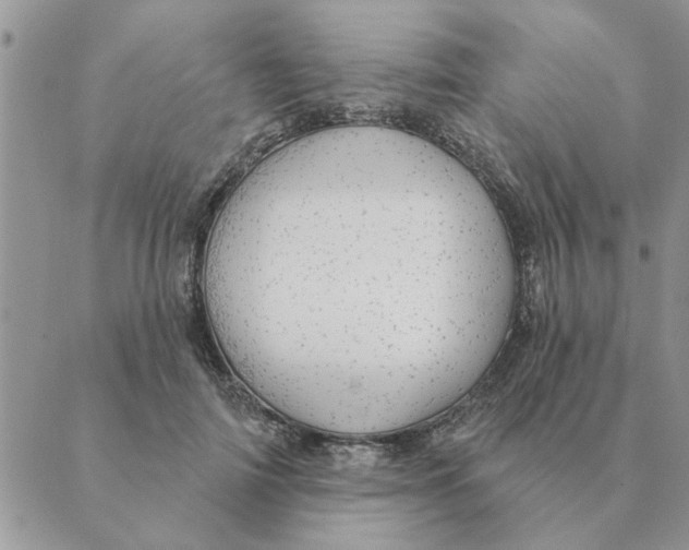 X0000088830698200707051422