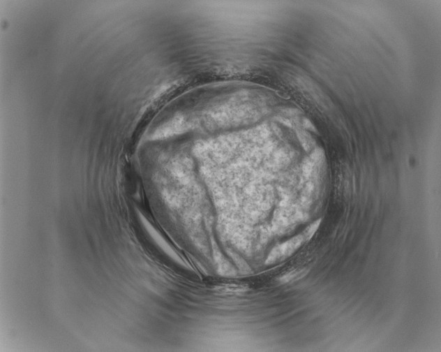 X0000088830700200707051422