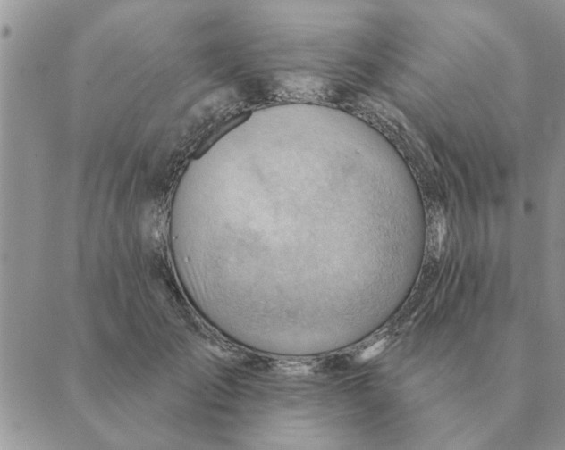 X0000088830701200707051422