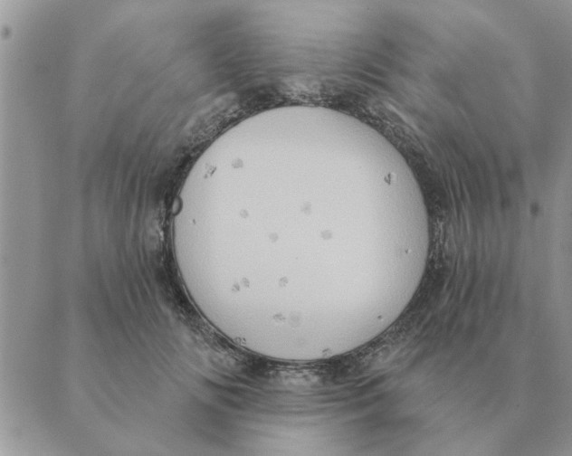 X0000088830702200707051422