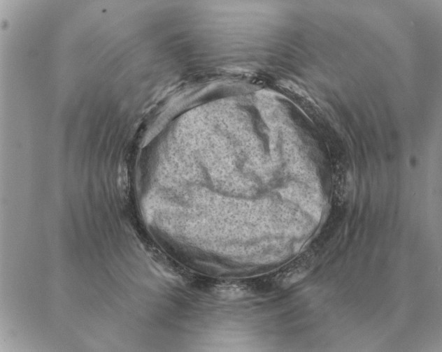 X0000088830704200707051422