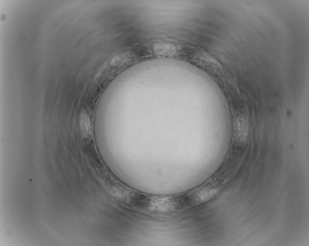 X0000088830705200707051422