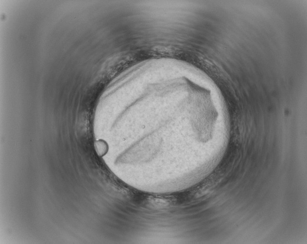 X0000088830706200707051422