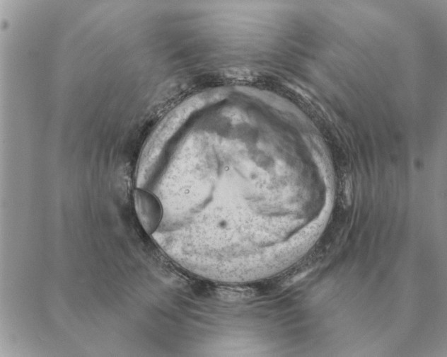 X0000088830707200707051422