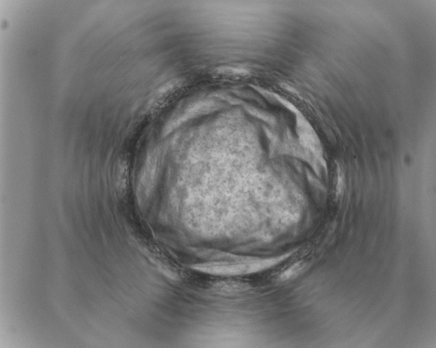 X0000088830708200707051422