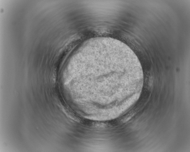 X0000088830710200707051422