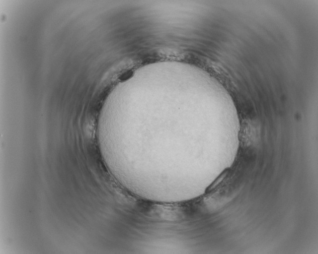 X0000088830713200707051422