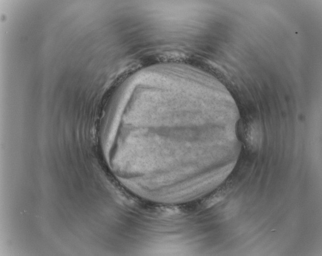 X0000088830715200707051422