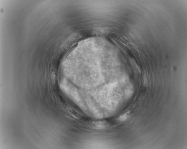 X0000088830716200707051422