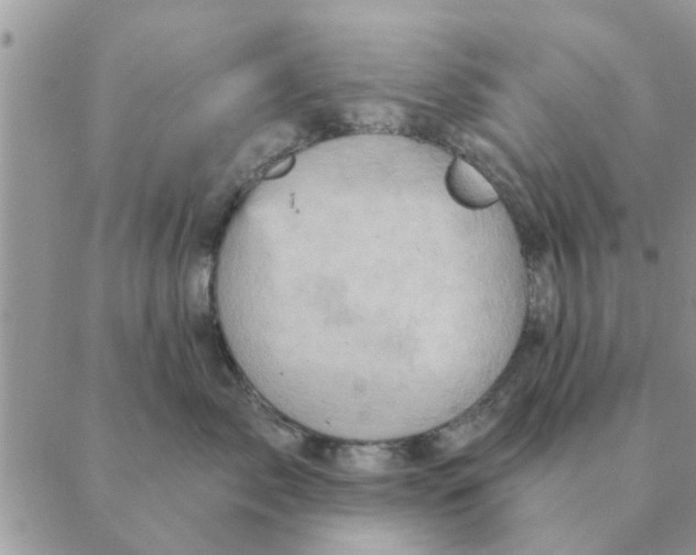 X0000088830717200707051422