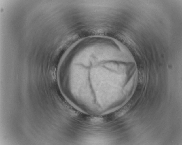 X0000088830718200707051422