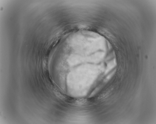 X0000088830720200707051422