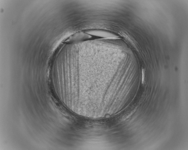 X0000088830723200707051421