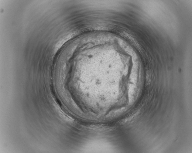 X0000088830725200707051421