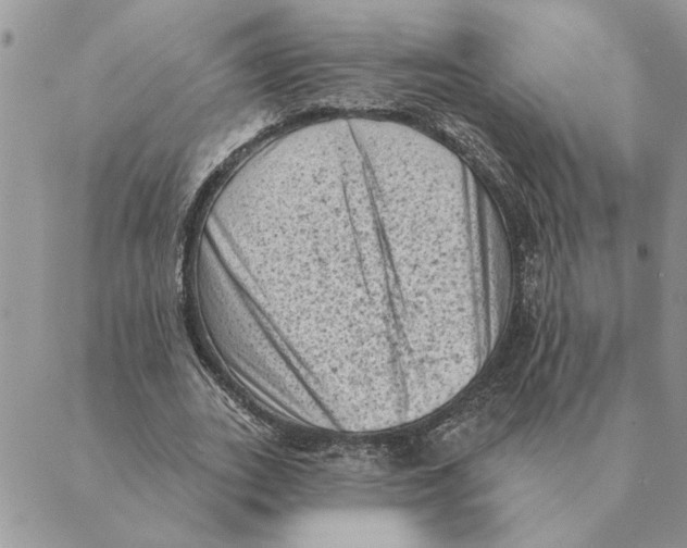 X0000088830727200707051421