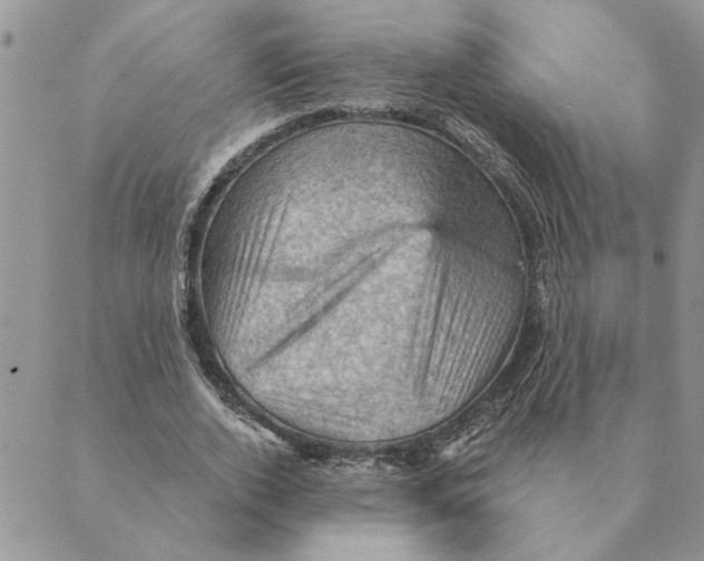 X0000088830728200707051421