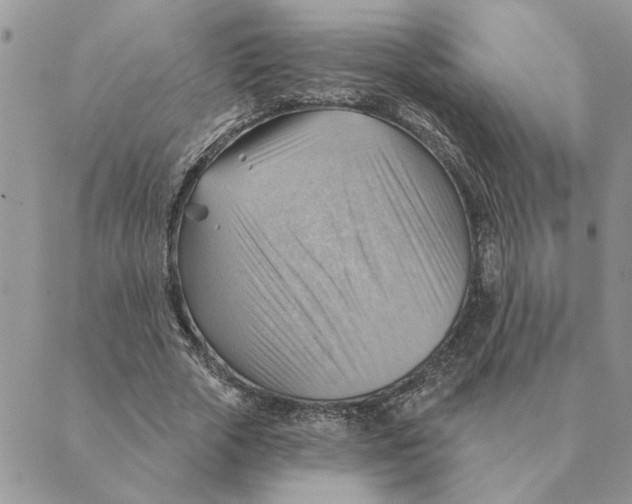 X0000088830729200707051421