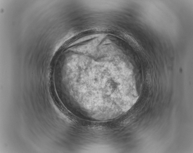 X0000088830730200707051421