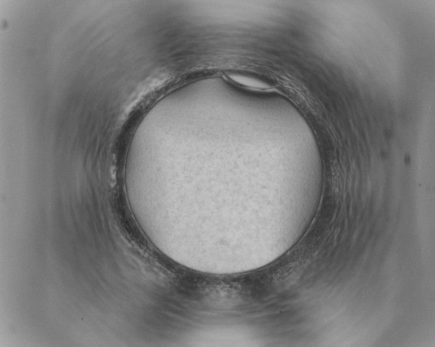 X0000088830731200707051421