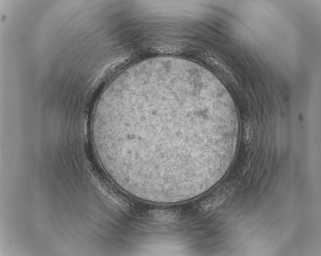 X0000088830733200707051421