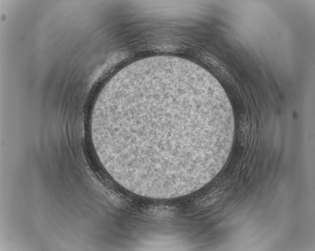 X0000088830734200707051421