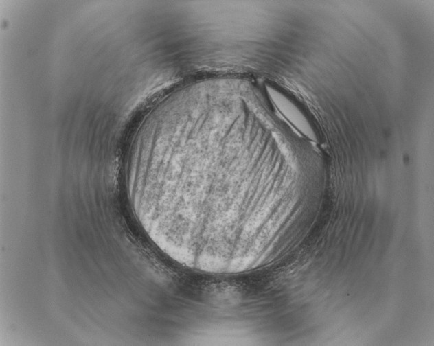 X0000088830735200707051421