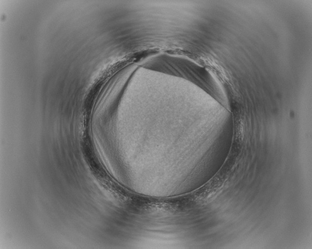 X0000088830736200707051421