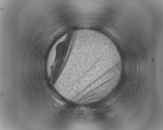 X0000088830737200707051421